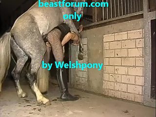Guy fucked by horse compilation